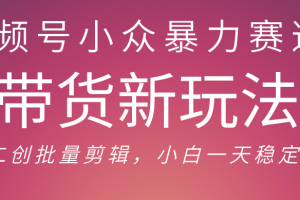视频号小众暴力赛道，最新带货玩法 小白也能轻松日入500+ 保姆及教程