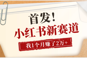 【首发】小红书全新赛道，我自己靠这个项目上个月收益2W+