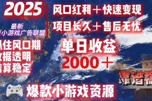 2025最新抖音小游戏广告联盟，日赚2000＋从零开始的财富逆袭