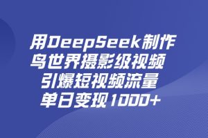用DeepSeek制作鸟，世界摄影级视频，引爆短视频流量，单日变现1000+