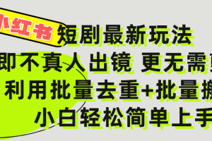 小红书短剧最新玩法，轻松日入3000+，既不真人出镜，更不用剪辑，全程搬运，傻瓜式操作，私域零成本批量操作