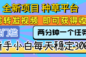 全新项目 种草平台 只需要转发任务视频 即可获得收益 新手小白每天稳定300+