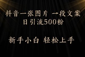 抖音一张图片,一段文案日引流500粉,新手小白 轻松上手