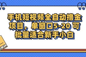 手机短视频全自动撸金项目，单窗口5-20可批量适合新手小白