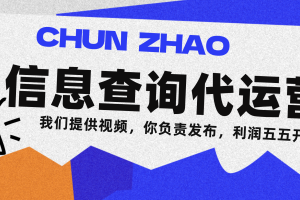信息查询代运营小众蓝海爆款项目，每天发发视频，单日稳定变现500+