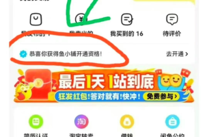 闲鱼鱼小铺信息差小项目，一单5元，一天收益100+