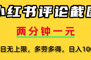 小红书评论截图,一条0.5元,多劳多得!