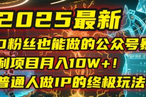 2025最新0粉丝也能做的公众号暴利项目，月入10W+！普通人做IP的终极玩法