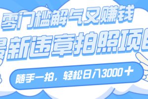 解气又赚钱的项目，随手一拍，轻松收入3000+，最新违章拍照赚钱
