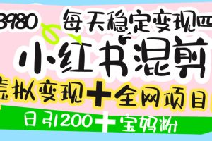 价值3980的小红书混剪， 虚拟变现 ＋全网项目库 ， 日引200+宝妈创业粉，每天稳定四位数变现