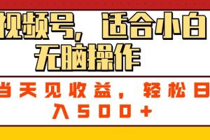 ai视频号，适合小白无脑操作，当天见收益，轻松日入500+