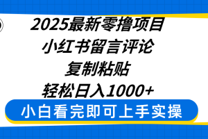 2025最新零撸项目，小红书留言评论，复制粘贴即可赚钱，轻松日入1000+