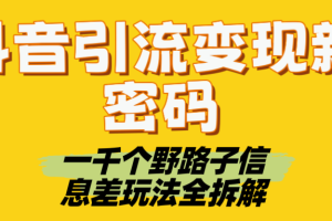 抖音引流变现新密码！一千个野路子信息差玩法全拆解