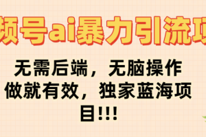 视频号ai暴力引流项目，无需后端，无脑操作，做就有效，独家蓝海项目!!!