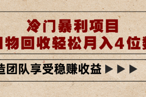 冷门暴利项目,旧物回收轻松月入4位数