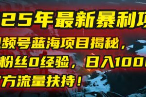 2025年最新暴利项目：视频号蓝海项目揭秘，0粉丝0经验，日入1000+，官方流量扶持！