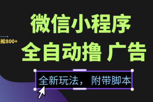 微信小程序挂机撸广告，全新玩法，新手一天轻松800+【附带脚本】