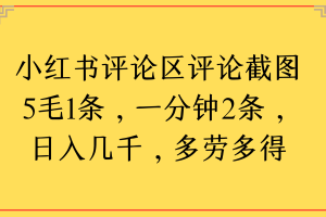 小红书评论区评论截图一分钟2条，日入几千，多劳多得
