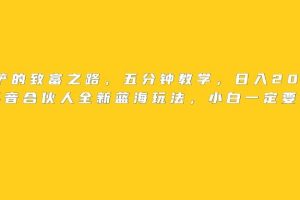王铲铲的致富之路,日入2000+收益,五分钟教学,抖音合伙人全新蓝海玩法,小白一定要做的项目