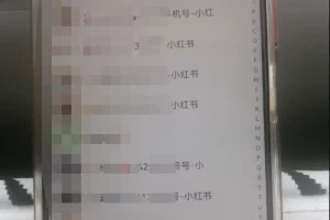 私藏级小红书引流攻略:普通人也能复制的日增100+私域流量法