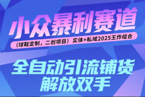 楠—小众暴利赛道（球鞋定制，二创项目）实体+私域2025王炸组合