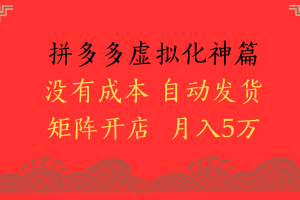 2025年最新暴力起店玩法,拼多多虚拟电商化神篇,月入5万+