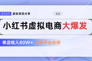小红书虚拟电商项目,新手单店月入1W,0门槛1拖3玩法