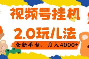 视频 号挂机 2.0 玩儿法， 全新平 台， 月入 4000+