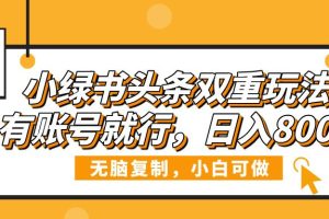小绿书头条双重玩法，有账号就行，日入800+