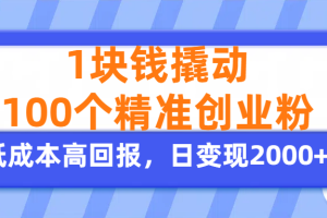 1块钱撬动100个精准创业粉，单人单日引流500+创业粉，日变现2000+