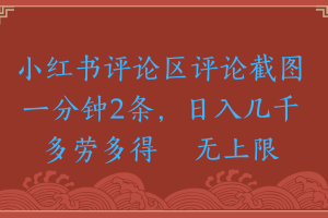 小红书评论区评论截图一分钟2条，日入几千，无上限，多劳多得