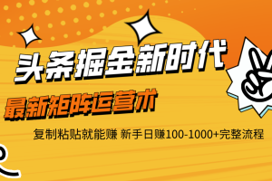 头条掘金新时代 最新矩阵运营术 复制粘贴就能赚 新手日赚100-1000+完整流程