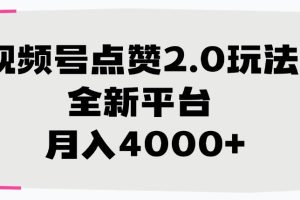 视频号点赞2.0玩法，全新平台， 月入4000+