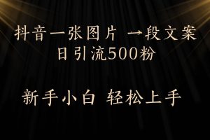 每天2分钟,抖音一张图片 一段文案日引流500粉