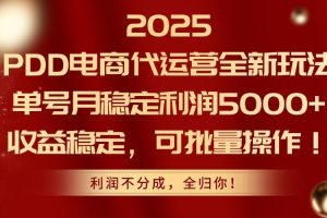 2025 PDD电商代运营全新玩法，单号月稳定利润5000+，收益稳定，可批量操作！
