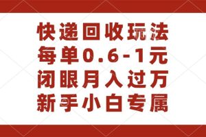 快递回收自助玩法，每单收益0.6到1元，闭眼也能月入一万，适合新手小白