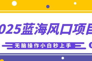 2025蓝海风口项目，利用AI工具一键生成儿童益智早教视频，无脑操作小白秒上手，轻松日入500+