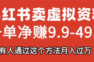 小红书卖虚拟资料，一单净赚9.9-49.9之间，日入500+