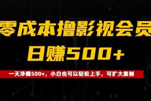 0成本撸影视会员,一天净赚500+,小白也可以轻松上手,可扩大复制