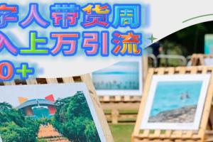 数字人带货周收入上万引流200+