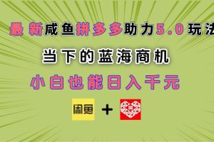 最新闲鱼拼多多助力玩法 当下的蓝海商机 新手小白也能轻松操作 实现日入千元