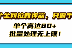 首个全网拉新神器,只需手机,单个高达80+,批量处理无上限!