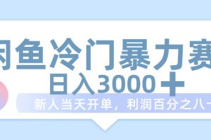 闲鱼冷门暴力赛道，一单 80%利润，新人轻松日入 1000+