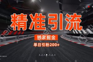 独家野路子精准引流 每日200+