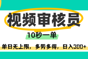 视频审核员,10秒一单,单日无上限,多劳多得!