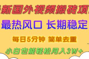 国外视频搬砖项目,2025最新热门风口,简单去重剪辑,小白也能轻松月入3W+