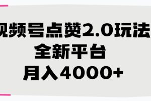 视频号点赞2.0玩法，月入4000+，全新平台