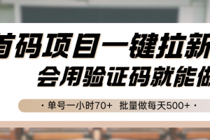 首码项目一键拉新,会用验证码就能做 单号一小时70+,批量做每天500+