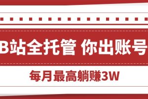 （15547期）【B站全程托管 】你出账号，我来运营，每月最高躺赚3W