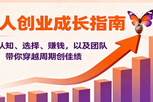 个人创业成长指南:涵盖认知、选择、赚钱,以及团队管理,带你穿越周期创佳绩
